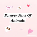Forever fans of animals