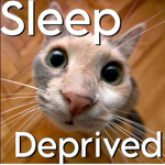 Sleep Deprived Corporation