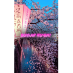 ~~Sugar Rush࿐