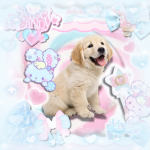 ･ﾟ chance