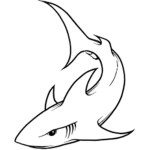 ~Team Shark Squad~