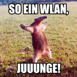 Freunde_friends