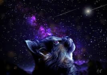 The Stars Above!