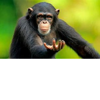 Closing Game When We  Get Big Rich