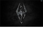 Skyrim The Experience
