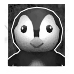 PenguinTech Intelligence Agency