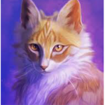 warrior cat fans! ( also give aways
