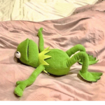 Kermit fan club (more memes)