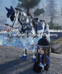 Everwood Riding!