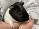 まめふぁんくらぶ