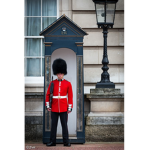 Royal Palace Workers