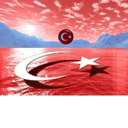 PurposeLess Turks Roblox group icon