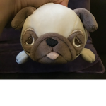Puggy party