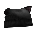 cat ears beanie