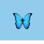 •blue butterflies•