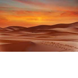 the desert