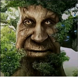 House of the Tree