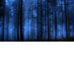 Aestheticx ~