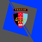 [PROPAM] Profesi dan Pengamanan
