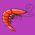 Shrimpy Studios