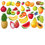 The Fruit Squad Official Group