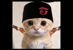 ALDEVAN GAMER GROUP