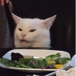 Salad cat