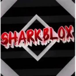 low poly mm2 group