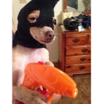 Quiville