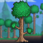The Terraria Fan Group!