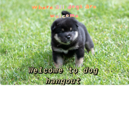 [MINI UPDATE] Doge Hangout