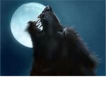 pack of werewolf plz join