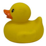 ducky raid group