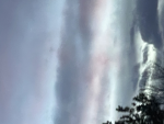 [+] The smiling Critters [+]