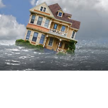 Survive the disasters