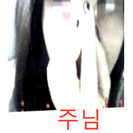 큰 떼거리