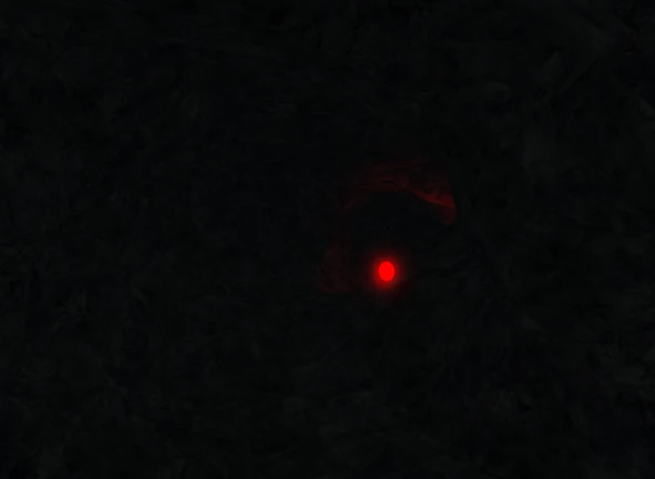 CAVE thumbnail