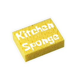 Kitchen Sponge