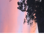 Sunset fan