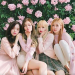 ✦Angels✦