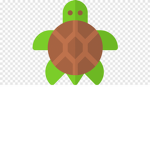 fan group for turtles