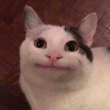 cat Roblox decal