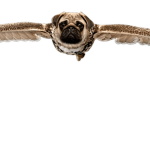Pug Studio Games