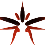 Crimson Abyssal Wings