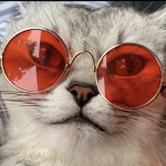 KittyXxXSQuADXxX