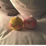 poohbubs Group Thumbnail