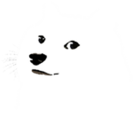 Stalactite Doge