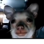 Unfamiliar to Zero