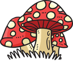 The Friendly Mushroom