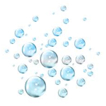 Bubble Buds for Life